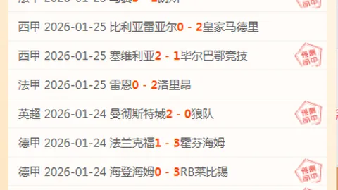 不来梅德甲逆袭，斯特奇独中四元成就帽子戏法